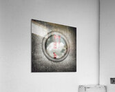 The gull who could no longer sea Acrylic Print