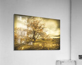 Oatlands autumn tree Acrylic Print