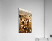 Wild west mountain view Acrylic Print