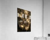 Web of entrapment Acrylic Print