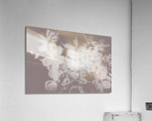 Ghost Flower - Souls in bloom Acrylic Print