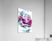 Wild exotics Acrylic Print