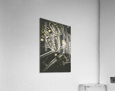 Medieval crests and swords Acrylic Print