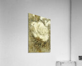 Flowers by the window Acrylic Print