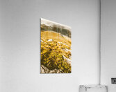 Rustic mountain terrain Acrylic Print