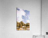 Scenically simplistic Acrylic Print