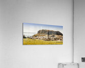 The Nut in Stanley Tasmania Acrylic Print