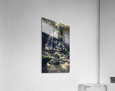 Forest falls Acrylic Print