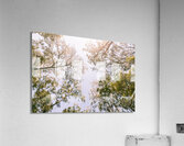 In Springnificant Acrylic Print