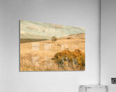 Country colours Acrylic Print