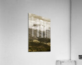 Oncoming rains Acrylic Print