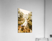 Falls explorer Acrylic Print