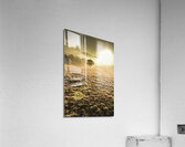 Plain morning Acrylic Print