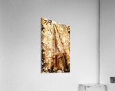 Ornamental orient Acrylic Print