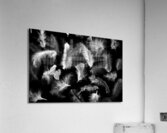 Motions Acrylic Print