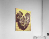 Literary love Acrylic Print