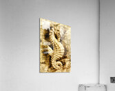 Seahorse Seas Acrylic Print
