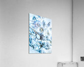 Creative seas Acrylic Print