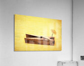 Clothespins and dandelions Acrylic Print