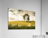 Australian farm charm Acrylic Print