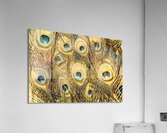 Spot colors Acrylic Print