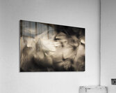 Soft contrasts Acrylic Print