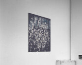 Silver saucers from outer space Acrylic Print