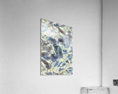 Wintage Acrylic Print