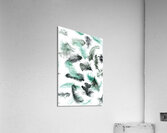 Quill and feather Acrylic Print