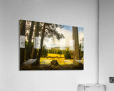 Vibrant autumn hillside Acrylic Print