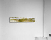 The wide stretch Acrylic Print