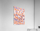 American Seas Acrylic Print