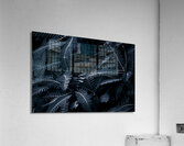 Branched tranquility Acrylic Print