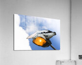 Dreams Acrylic Print