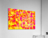 Summer bug Acrylic Print