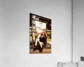 Vintage gas pump gal Acrylic Print