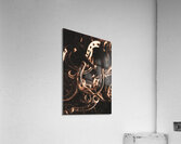 Rustic horse shoes Acrylic Print