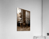 Gypsy Wagon Acrylic Print