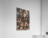 Burning Big Top  Acrylic Print