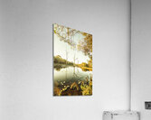 Still lake afternoon  Acrylic Print