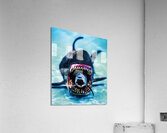 Deception Bay Acrylic Print