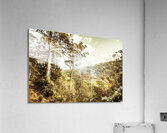 Bush views and lookouts Acrylic Print