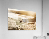 Vintage paradise Acrylic Print