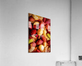Mixed nuts Acrylic Print