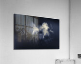 Medusas light Acrylic Print