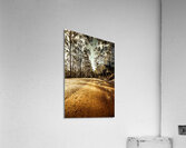 Off the beaten track Acrylic Print