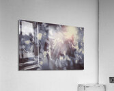 Bankers bailout with bail-ins Acrylic Print