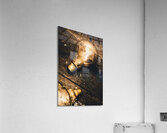 Still life inspiration Acrylic Print