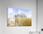 Fine art winter scene Acrylic Print