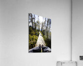 Explore tasmania Acrylic Print